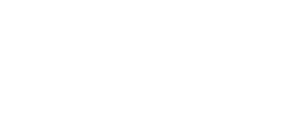 tl logo logo