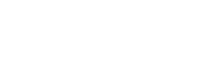 nilons logo