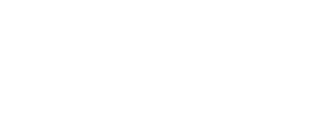 tata-aig logo